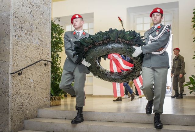 Bildgröße auf die Monitorauflösung (640x480 px) optimiert