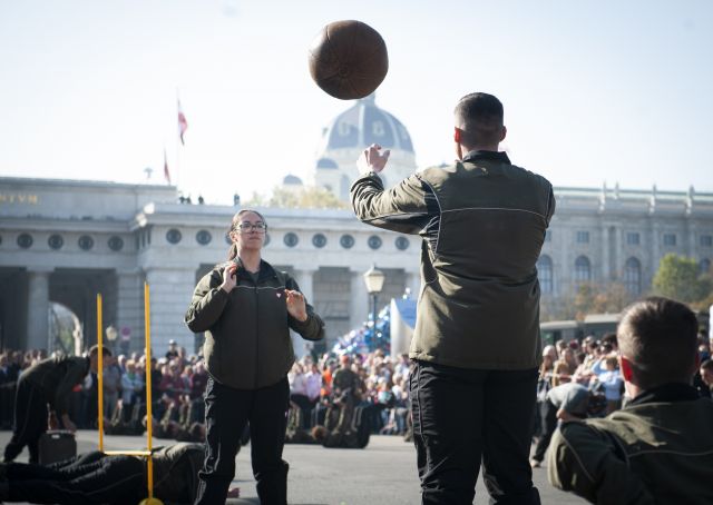 Bildgr&ouml;&szlig;e auf die Monitoraufl&ouml;sung (640x480 px) optimiert