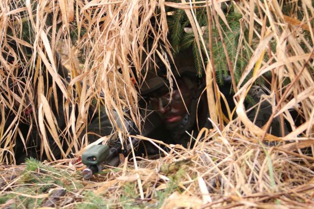 Bildgr&ouml;&szlig;e auf die Monitoraufl&ouml;sung (640x480 px) optimiert