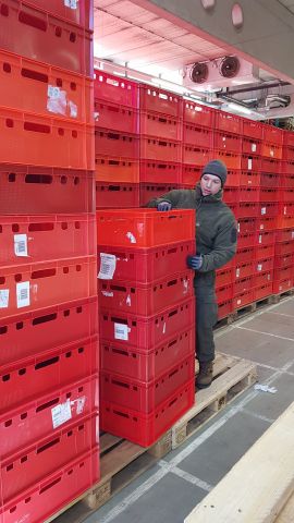 Bildgr&ouml;&szlig;e auf die Monitoraufl&ouml;sung (640x480 px) optimiert