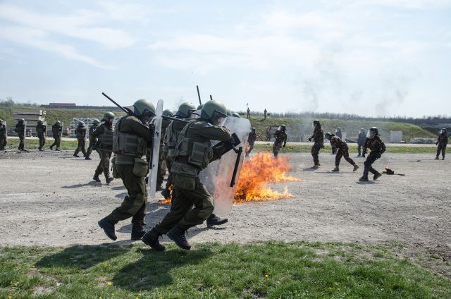 Bildgr&ouml;&szlig;e auf die Monitoraufl&ouml;sung (640x480 px) optimiert