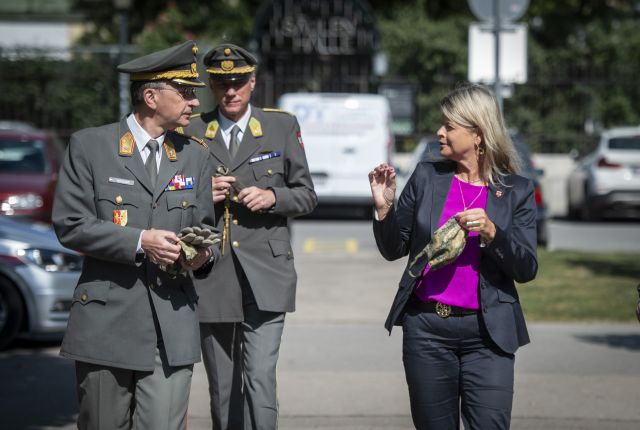 Bildgr&ouml;&szlig;e auf die Monitoraufl&ouml;sung (640x480 px) optimiert