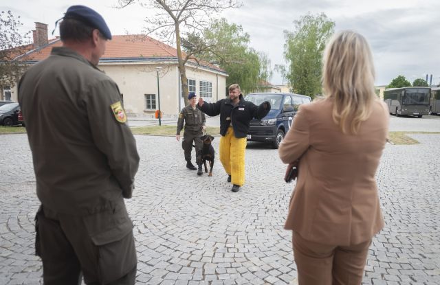 Bildgr&ouml;&szlig;e auf die Monitoraufl&ouml;sung (640x480 px) optimiert