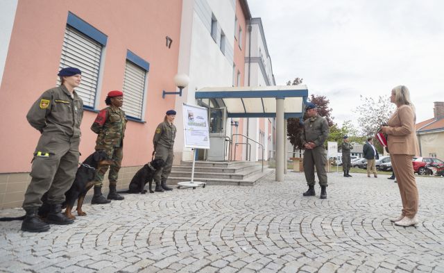 Bildgr&ouml;&szlig;e auf die Monitoraufl&ouml;sung (640x480 px) optimiert