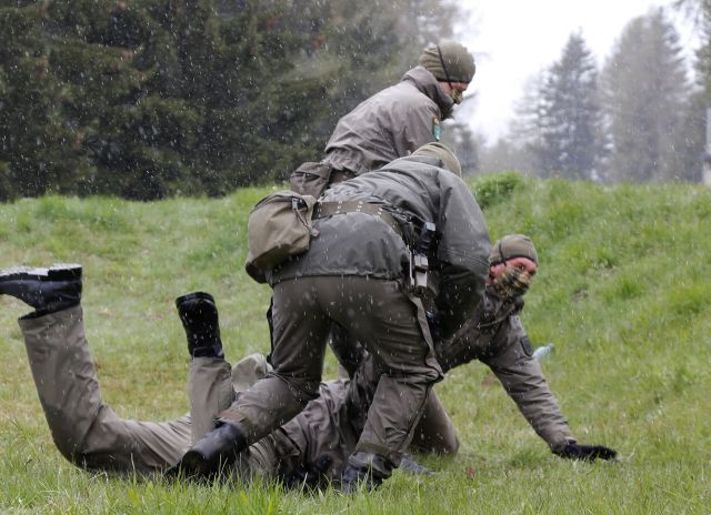 Bildgröße auf die Monitorauflösung (640x480 px) optimiert