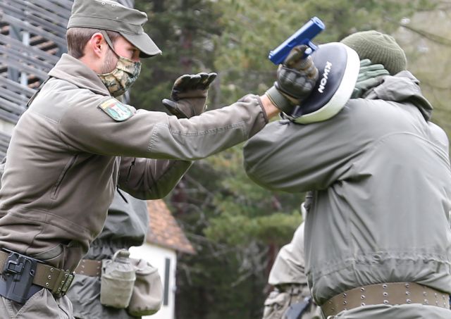 Bildgr&ouml;&szlig;e auf die Monitoraufl&ouml;sung (640x480 px) optimiert