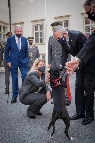 Bildgröße auf die Monitorauflösung (640x480 px) optimiert