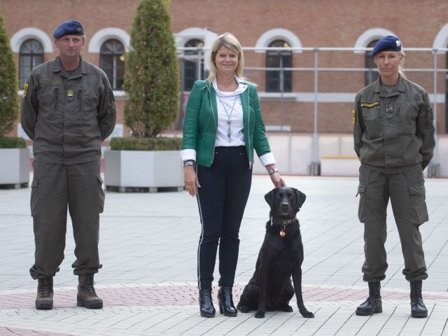 Bildgröße auf die Monitorauflösung (640x480 px) optimiert