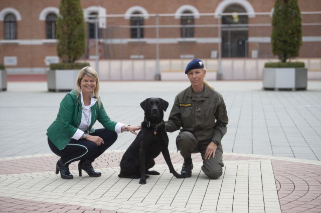 Bildgr&ouml;&szlig;e auf die Monitoraufl&ouml;sung (640x480 px) optimiert