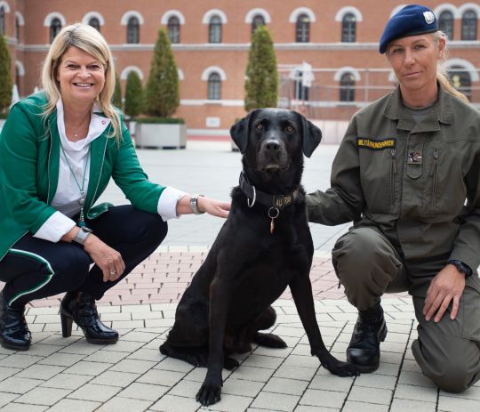 Bildgr&ouml;&szlig;e auf die Monitoraufl&ouml;sung (640x480 px) optimiert