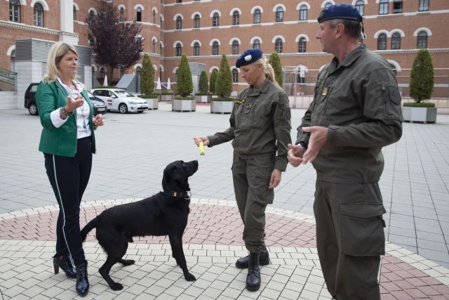 Bildgr&ouml;&szlig;e auf die Monitoraufl&ouml;sung (640x480 px) optimiert