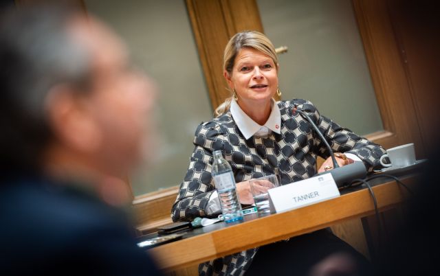 Bildgr&ouml;&szlig;e auf die Monitoraufl&ouml;sung (640x480 px) optimiert