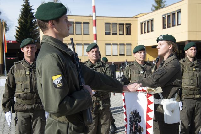 Bildgröße auf die Monitorauflösung (640x480 px) optimiert