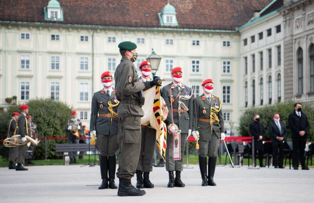 Bildgr&ouml;&szlig;e auf die Monitoraufl&ouml;sung (640x480 px) optimiert