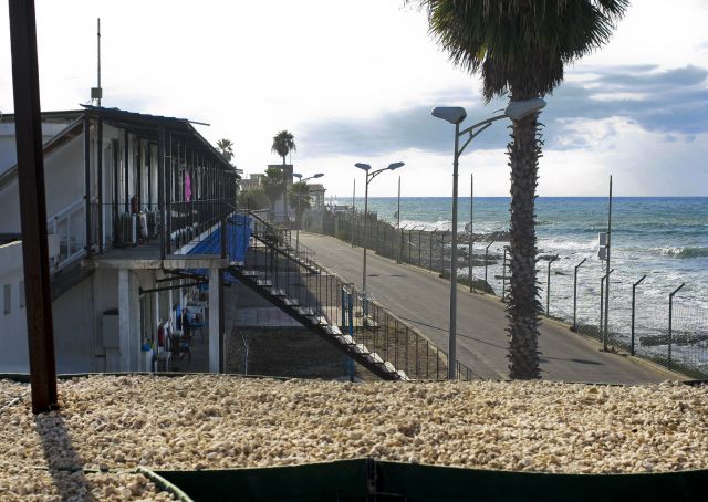 Bildgr&ouml;&szlig;e auf die Monitoraufl&ouml;sung (640x480 px) optimiert