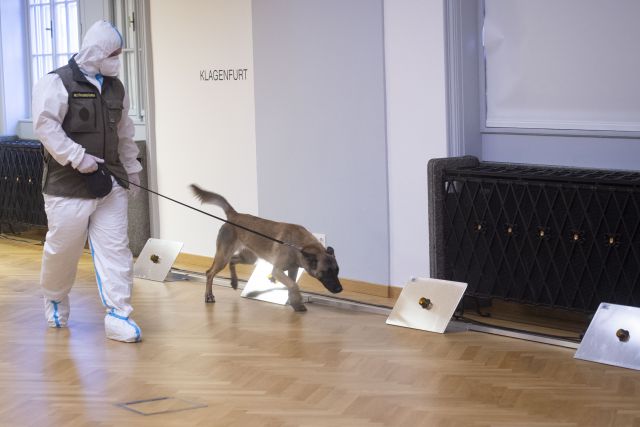 Bildgr&ouml;&szlig;e auf die Monitoraufl&ouml;sung (640x480 px) optimiert