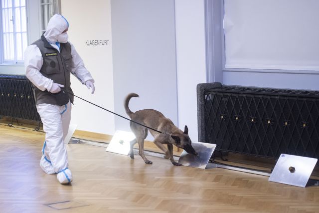 Bildgr&ouml;&szlig;e auf die Monitoraufl&ouml;sung (640x480 px) optimiert