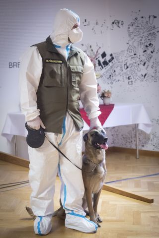 Bildgr&ouml;&szlig;e auf die Monitoraufl&ouml;sung (640x480 px) optimiert