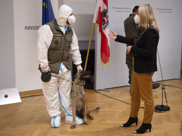 Bildgr&ouml;&szlig;e auf die Monitoraufl&ouml;sung (640x480 px) optimiert