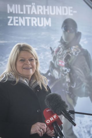 Bildgröße auf die Monitorauflösung (640x480 px) optimiert