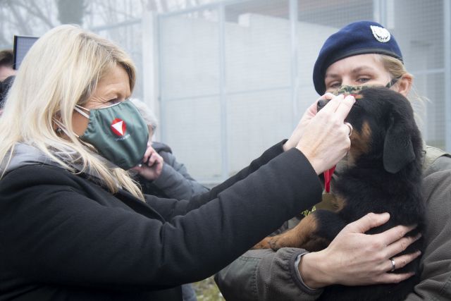 Bildgr&ouml;&szlig;e auf die Monitoraufl&ouml;sung (640x480 px) optimiert