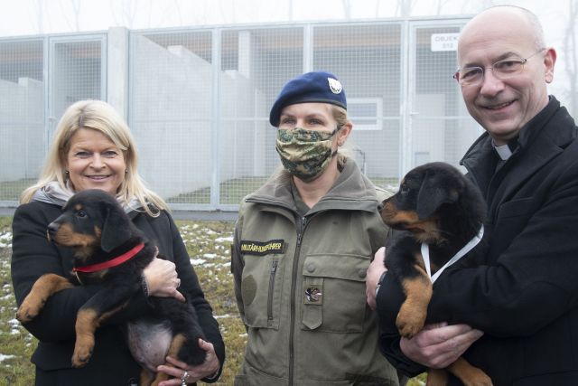 Bildgröße auf die Monitorauflösung (640x480 px) optimiert