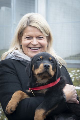 Bildgr&ouml;&szlig;e auf die Monitoraufl&ouml;sung (640x480 px) optimiert