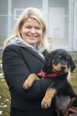 Bildgr&ouml;&szlig;e auf die Monitoraufl&ouml;sung (640x480 px) optimiert