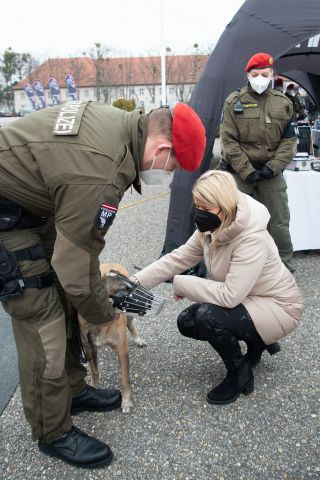 Bildgr&ouml;&szlig;e auf die Monitoraufl&ouml;sung (640x480 px) optimiert