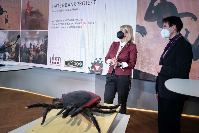 Bildgröße auf die Monitorauflösung (640x480 px) optimiert