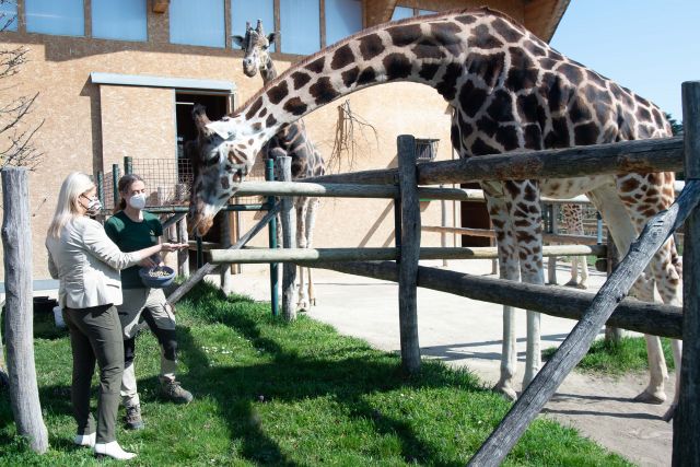 Bildgr&ouml;&szlig;e auf die Monitoraufl&ouml;sung (640x480 px) optimiert