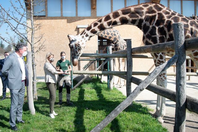 Bildgr&ouml;&szlig;e auf die Monitoraufl&ouml;sung (640x480 px) optimiert