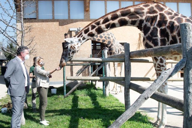 Bildgr&ouml;&szlig;e auf die Monitoraufl&ouml;sung (640x480 px) optimiert