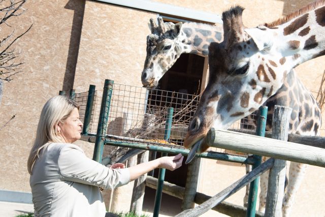 Bildgr&ouml;&szlig;e auf die Monitoraufl&ouml;sung (640x480 px) optimiert