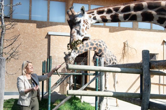 Bildgr&ouml;&szlig;e auf die Monitoraufl&ouml;sung (640x480 px) optimiert