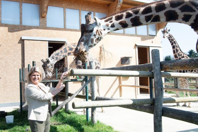 Bildgr&ouml;&szlig;e auf die Monitoraufl&ouml;sung (640x480 px) optimiert