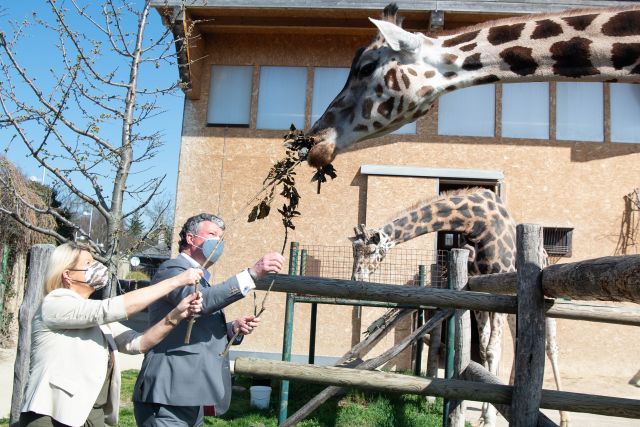 Bildgr&ouml;&szlig;e auf die Monitoraufl&ouml;sung (640x480 px) optimiert