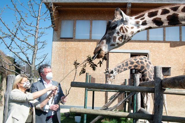 Bildgr&ouml;&szlig;e auf die Monitoraufl&ouml;sung (640x480 px) optimiert