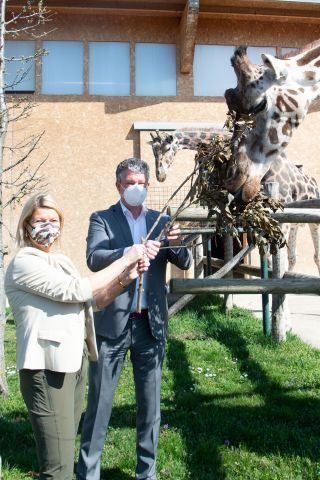 Bildgr&ouml;&szlig;e auf die Monitoraufl&ouml;sung (640x480 px) optimiert