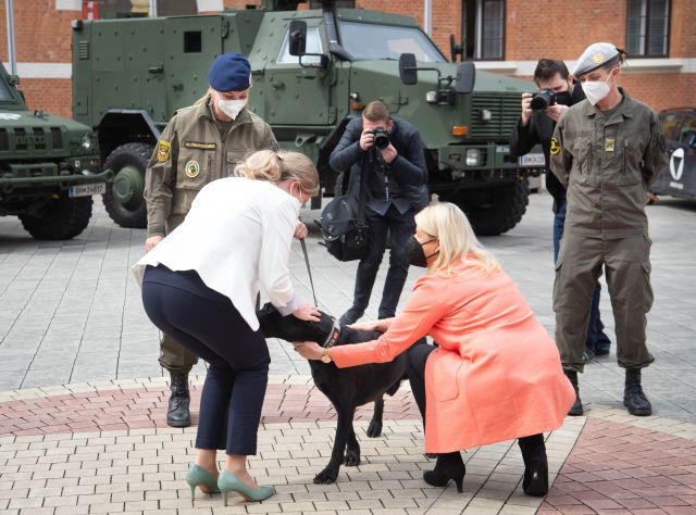 Bildgr&ouml;&szlig;e auf die Monitoraufl&ouml;sung (640x480 px) optimiert