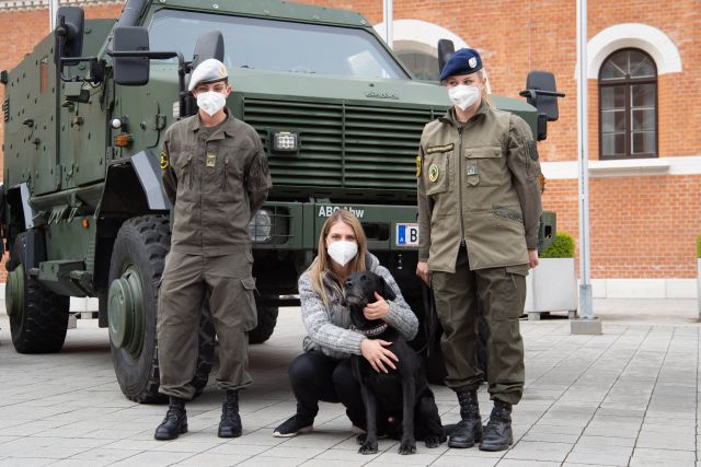 Bildgr&ouml;&szlig;e auf die Monitoraufl&ouml;sung (640x480 px) optimiert