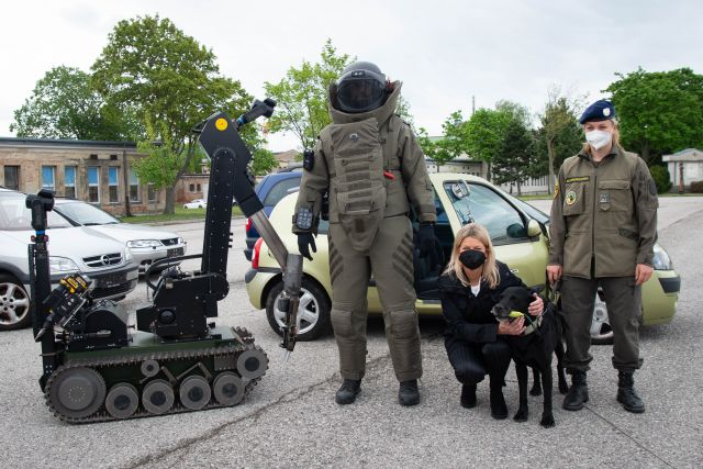 Bildgr&ouml;&szlig;e auf die Monitoraufl&ouml;sung (640x480 px) optimiert