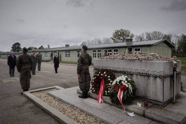 Bildgr&ouml;&szlig;e auf die Monitoraufl&ouml;sung (640x480 px) optimiert