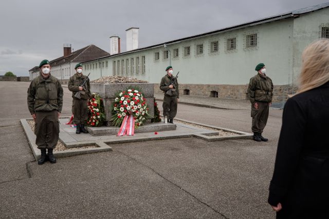 Bildgr&ouml;&szlig;e auf die Monitoraufl&ouml;sung (640x480 px) optimiert