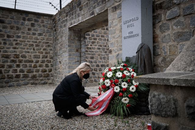 Bildgr&ouml;&szlig;e auf die Monitoraufl&ouml;sung (640x480 px) optimiert