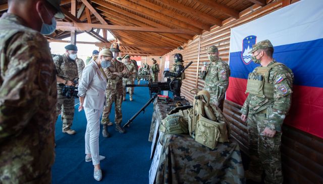 Bildgröße auf die Monitorauflösung (640x480 px) optimiert