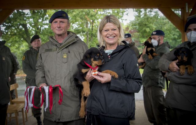 Bildgr&ouml;&szlig;e auf die Monitoraufl&ouml;sung (640x480 px) optimiert