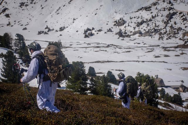 Bildgröße auf die Monitorauflösung (640x480 px) optimiert