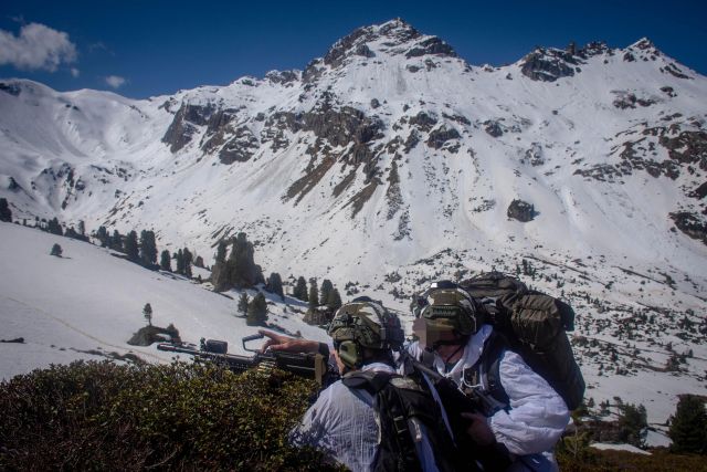 Bildgröße auf die Monitorauflösung (640x480 px) optimiert