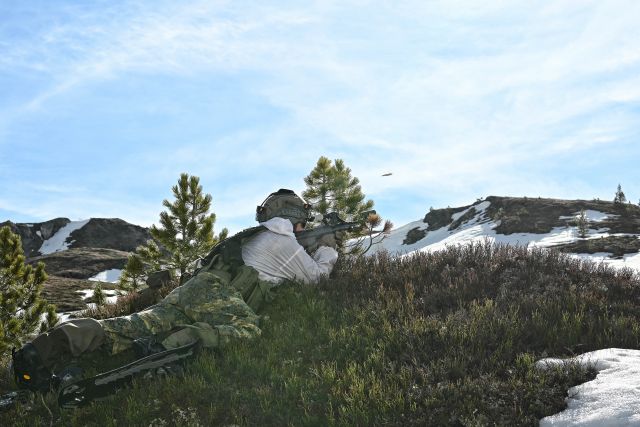 Bildgröße auf die Monitorauflösung (640x480 px) optimiert